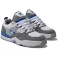 Dc-shoes Ascend Skatesko grå