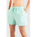 Empyre Ollie Boardshorts grønn