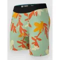 Stance Paradise Boxer mønster