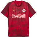 Puma FC Red Bull Salzburg 25/26 Third Jersey Men, Sport, Dark Cherry/Metallic Gold, L
