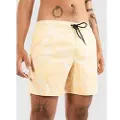 Rip Curl Aots - Cody Welsh Volley Boardshorts brun