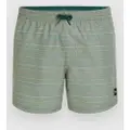 O'Neill Jack Cali First 15'' Boardshorts grønn
