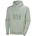 Helly Hansen Core Graphic Hettegenser