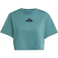 Adidas Climacool Vintage Training Graphic Kortarmet T-skjorte