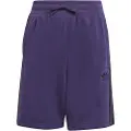 Adidas Originals Adicolor Shorts