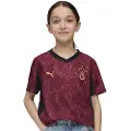 Puma Galatasaray SK 25/26 Third Jersey Youth, Clothing, Regal Red/Gold, 11-12Y