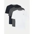 Jack & Jones Paulos Kortarmet T-skjorte 3 Enheter