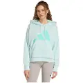 Adidas Essentials Big Logo French Terry Loose Hettegenser