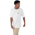Hurley Okay Kortarmet T-skjorte