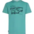 Icebreaker Merino 150 Tech Lite The Climb Kortarmet T-skjorte