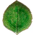 Costa Nova COSTA NOVAServeringsfat Hydrangea 17cmGrønnServeringsfatFra Homeroom