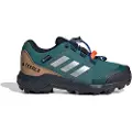 Adidas Terrex Goretex Tursko
