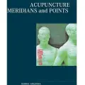 Books on Demand Acupuncture Meridians and Points