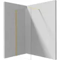 Deante Walk-in Dusjvegg 70 Cm