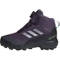 Adidas Terrex Winter Mid Boa Rain.rdy Tursko