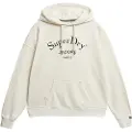 Superdry Brand Mark Relaxed Fit Hettegenser