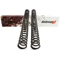 Andreani Ktm 450 Exc-f 17-25 Fw48-470-44 Gaffelfjærsett
