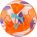Puma Orbita Laliga 1 Fifa Quality Pro Fotball
