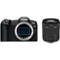 Canon EOS R8 Body + RF24-105 F4-7.1 IS STM