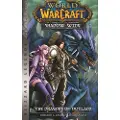 Blizzard World of Warcraft: Shadow Wing - The Dragons of Outland - Book One