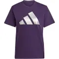 Adidas Holiday Metallic Graphic Kortarmet T-skjorte