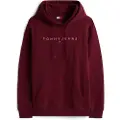 Tommy Hilfiger Linear Logo Regular Fit Hettegenser