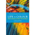 Ebury Publishing Life in Colour