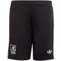 Adidas Liverpool Fc 25/26 Keeper Tredje Junior-shorts