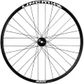Mavic Deemax Park 29´´ Int Boost Terrengsykkel Forhjul