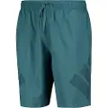 Adidas Big Bars 8´´ Badebukse