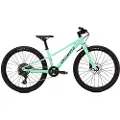 Specialized Riprock 24´´ Advent 2026 Terrengsykkel