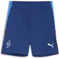 Puma Neymar Jr Playmaker Shorts