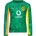 Puma Borussia Dortmund 25/26 Goalkeeper Long Sleeve Jersey Youth, Clothing, Archive Green/Intense Orange, 11-12Y