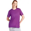 Icebreaker Merino 150 Tech Lite Iii Relaxed Kortarmet T-skjorte