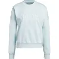 Adidas Cozy Holiday Graphic Collegegenser