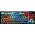 SteelSeries Apex Pro Tkl Trådløst Spilltastatur Engelsk