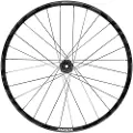 Mavic Deemax Dh 29´´ Int Boost Mtb Bakhjul