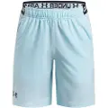 Under Armour Vanish Shorts
