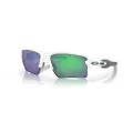 Oakley Flak 2.0 Xl Prizm Solbriller