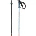 Salomon Polar Pro Spaserstokker