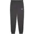 Puma Essentials 2 Colour No.1 Logo Sweatpants Men, Clothing, Dusky Gray, M