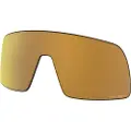 Oakley Mann Sutro Replacement Lenses