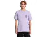 Volcom Harry Basic Kortarmet T-skjorte