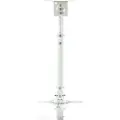 Art P-107W - Brakett - for projektor - metall - pulverbelagt hvitt - takmonterbar