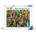 Ravensburger Cats On The Shelf 500p