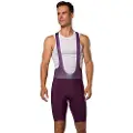 Pearl Izumi Expedition Sykkelshorts