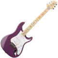 Paul Reed Smith PRS SE Silver Sky MN Summit Purple - Ex Demo
