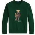 Ralph Lauren for man. 710981794001 Bear Fleece Polo Sweater green (S), Casual, Cotton