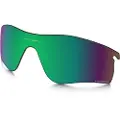 Oakley Mann Radarlock Path Replacement Lenses