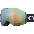 Oakley Mann Flight Deck L Snow Goggles